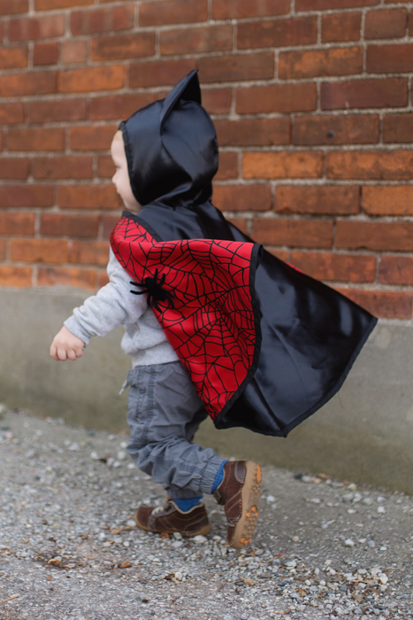 Reversible Spider/Bat Cape 2-3T