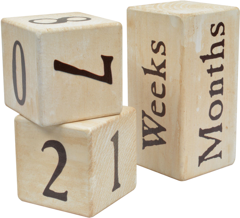 Maple Landmark Photo Prop Blocks