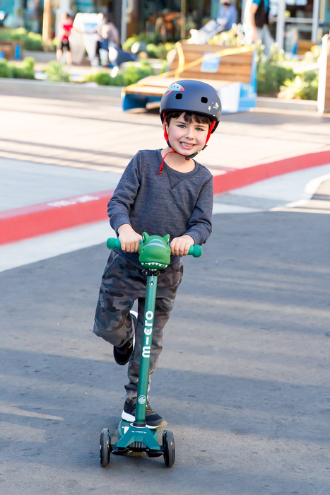 Micro Kickboard Maxi Deluxe ECO Scooter