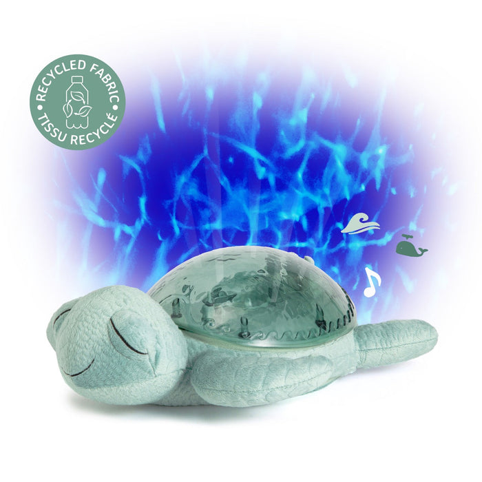 Tranquil Turtle