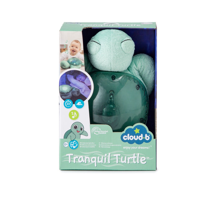 Tranquil Turtle