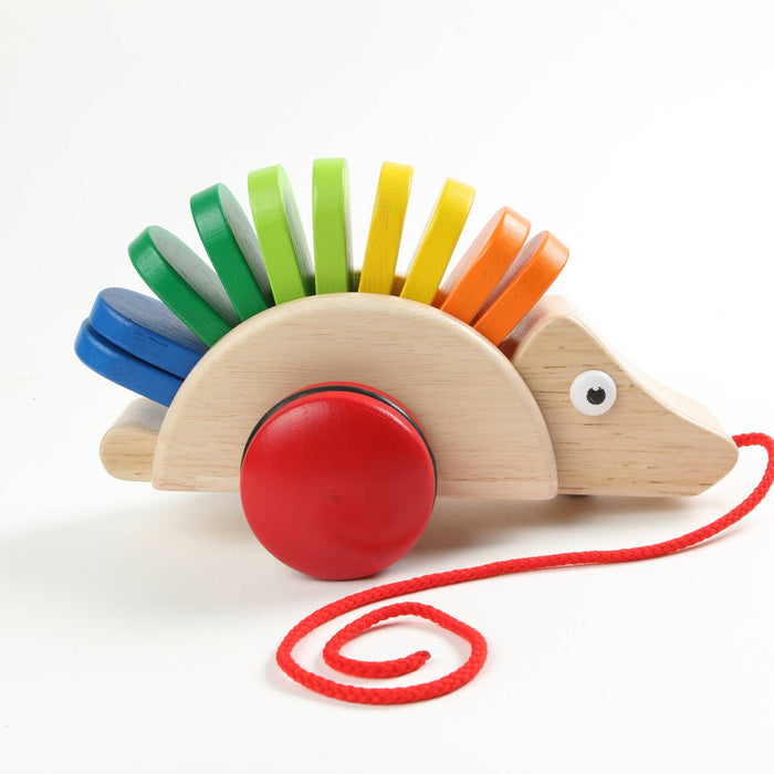 Pintoy Pull-Along Porcupine