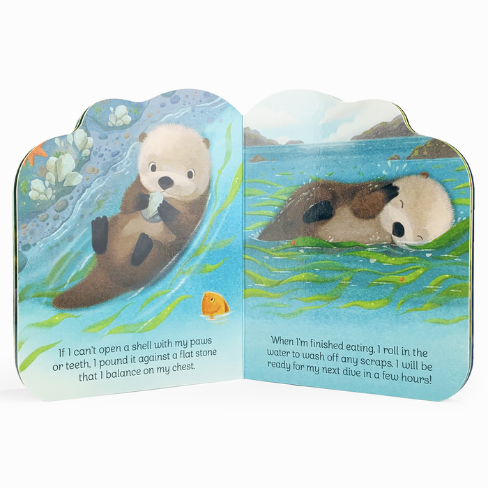 A Little Otter Shaped Board Book