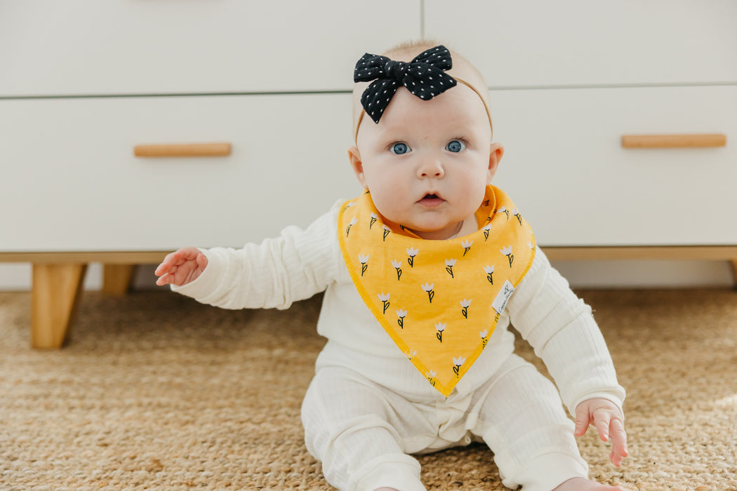 Bandana Bib 4pk- Birdie