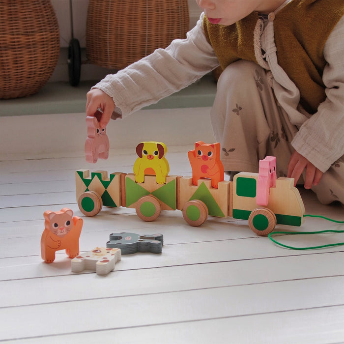 Trainimo Farm Wooden Pull-Along Activity Toy