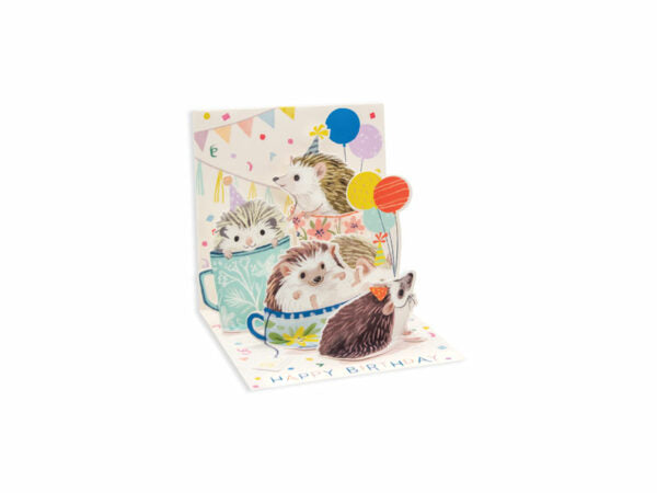 Pop Up Greeting Card- Trinket