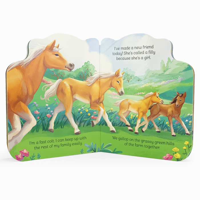 A Little Colt Shaped Board Book