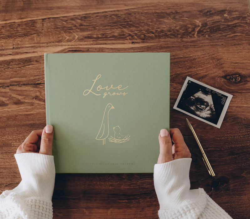 Pregnancy Journal