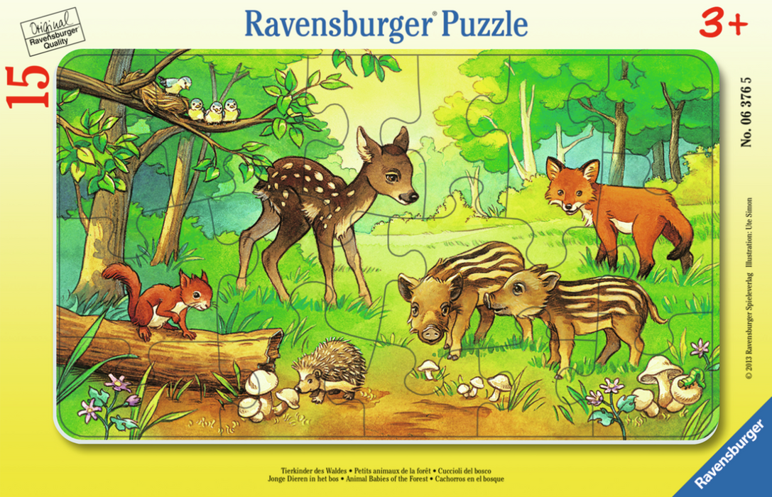 Jigsaw Puzzle- 15pc