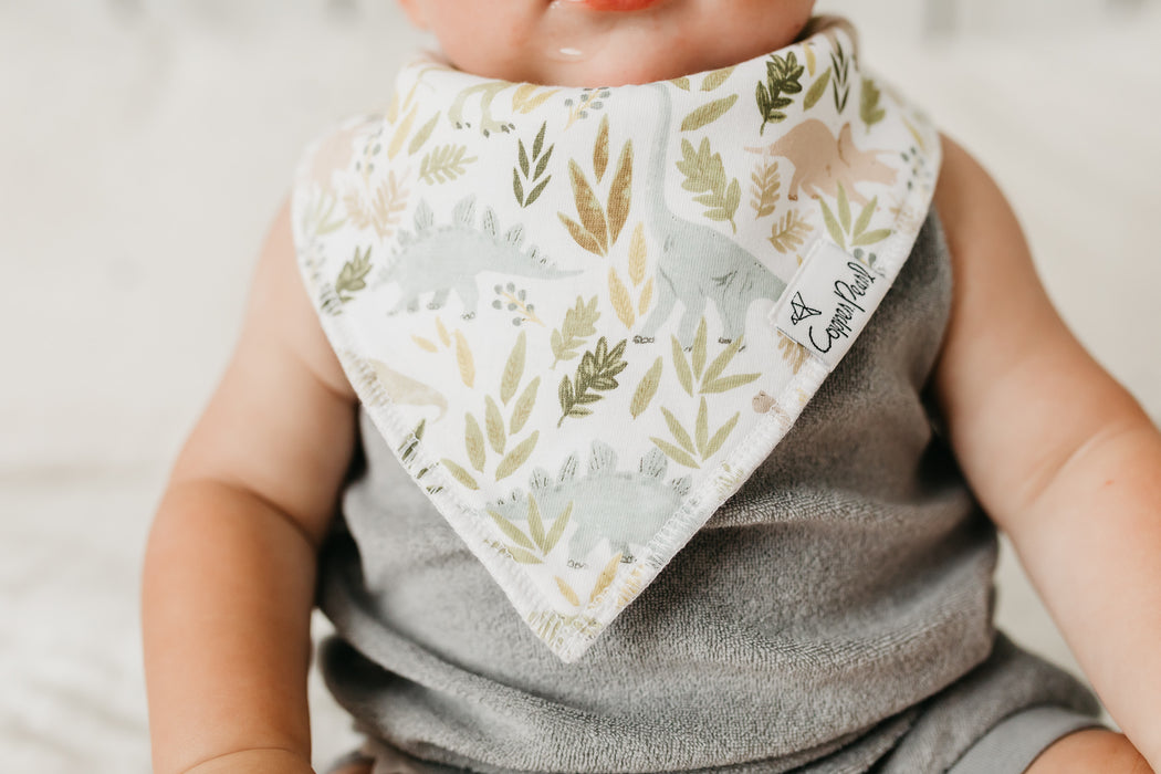 Bandana Bib 4pk- Rex