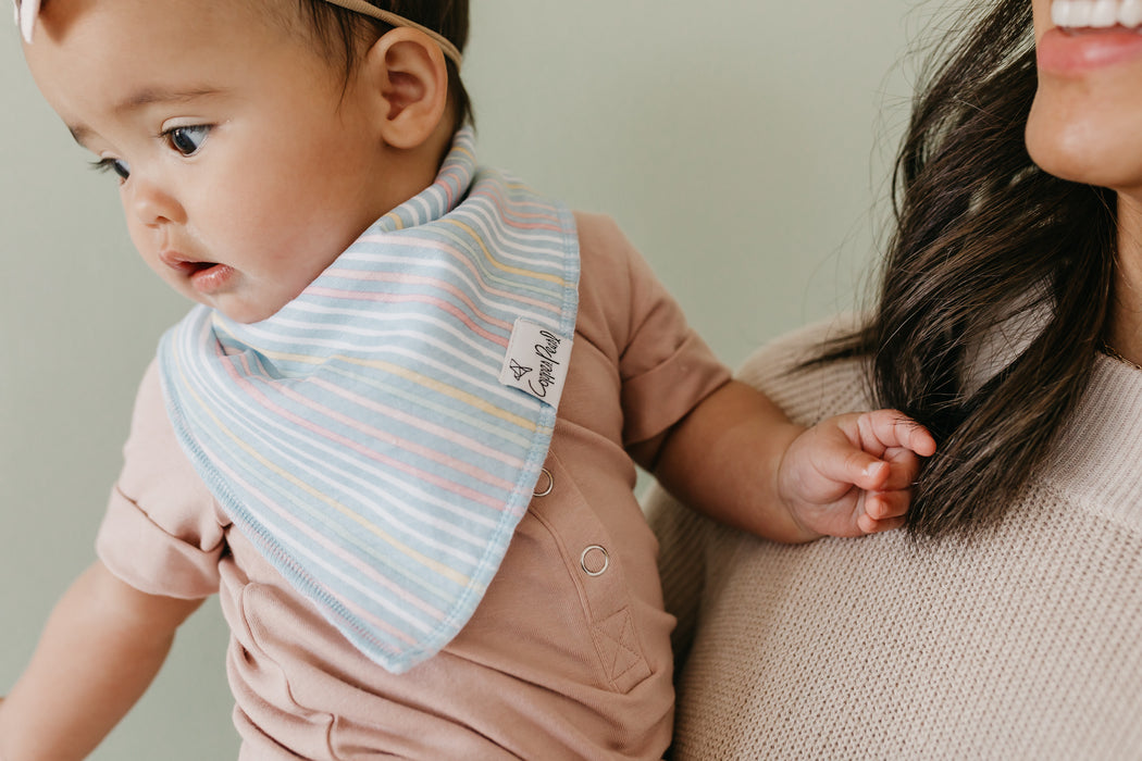 Bandana Bib 4pk- Whimsy