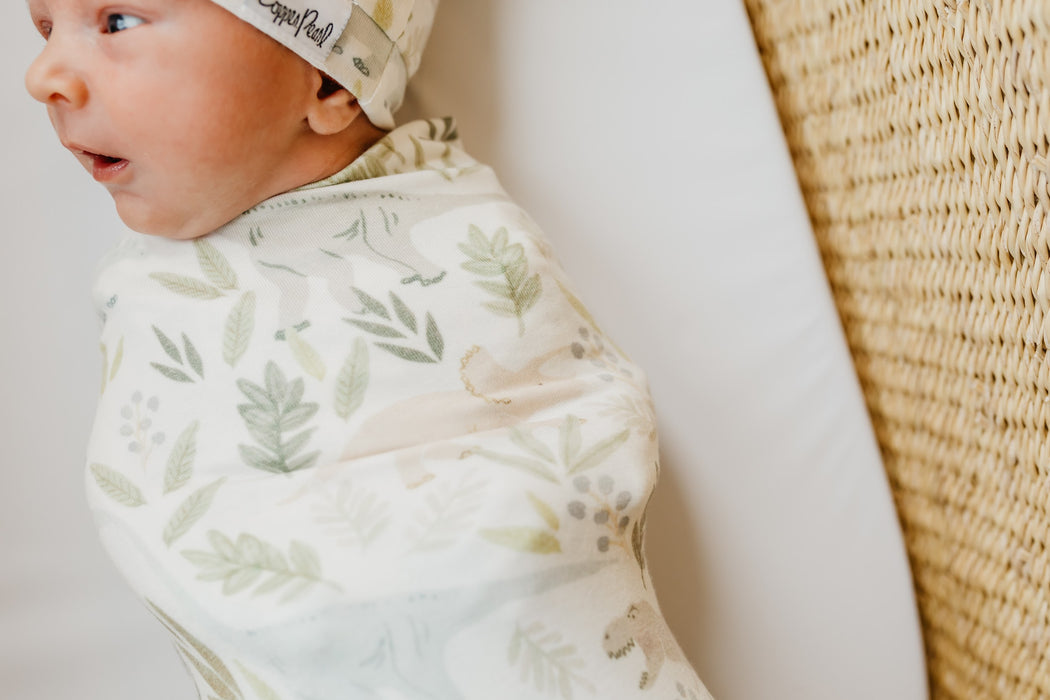 Swaddle Blanket- Rex