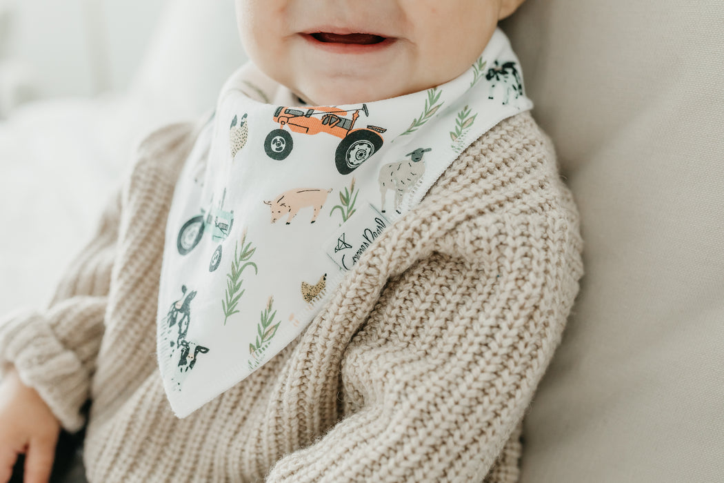 Bandana Bib 4pk- Jo