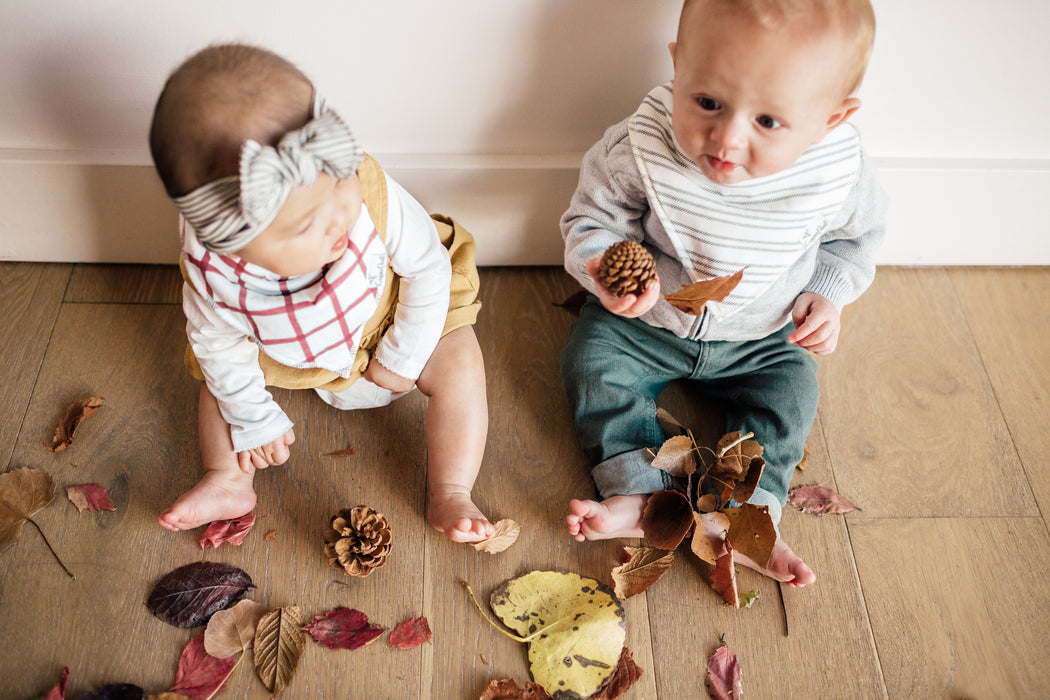 Bandana Bib 4pk- Chip