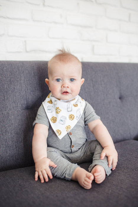 Bandana Bib 4pk- Chip