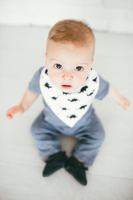 Bandana Bib 4pk- Wild