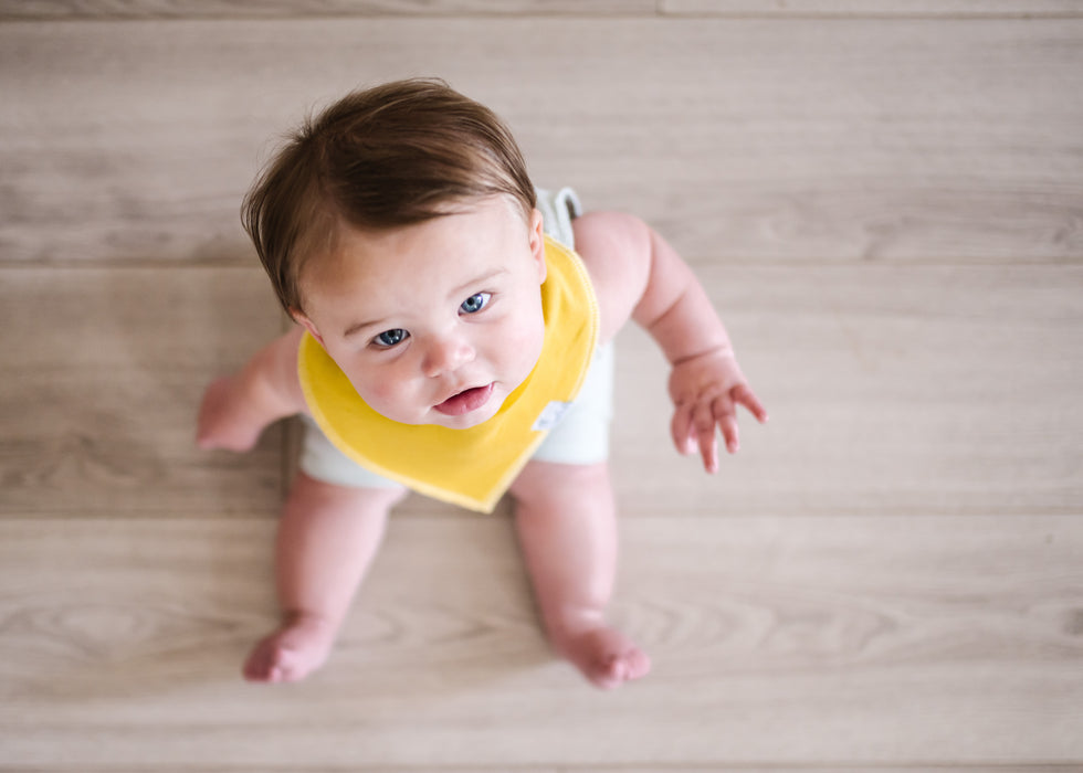 Bandana Bib 4pk- Stone