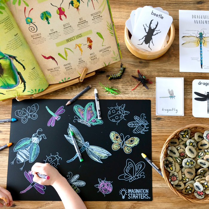 Chalkboard Coloring Placemat- Bugs