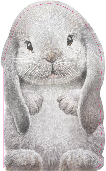 Furry Bunny Board Book